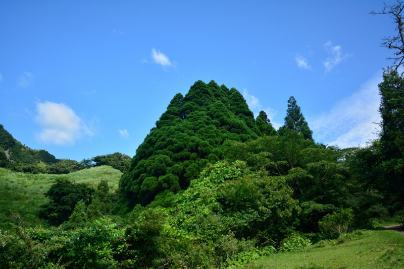 高森村_13